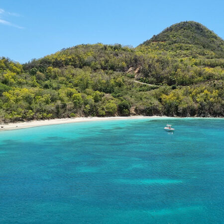 Stage de voile en Guadeloupe (Antilles)