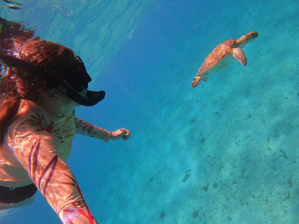 Plongeuse en snorkeling, nageant à côté d'une tortue aux Antilles